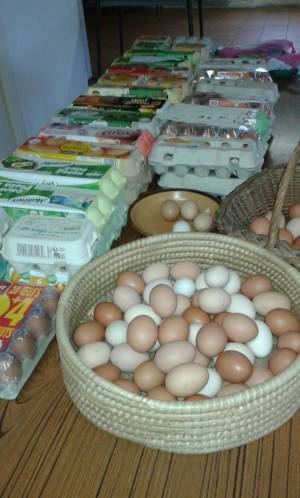 Omelettes pascales
